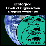 Levels of Organization in Ecology