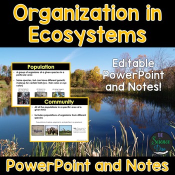 Preview of Levels of Organization in Ecosystems PowerPoint and Notes