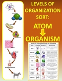 Levels of Organization in Living Things SORT: Atom to Organism