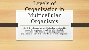Preview of Levels of Organization in Multicellular Organisms