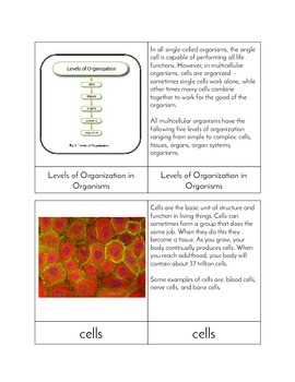 Preview of Levels of Organization in Organisms - Three Part Cards