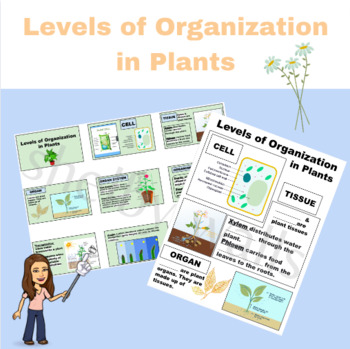 Preview of Levels of Organization in Plants - Slideshow & Notes Page