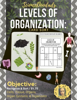 Preview of Levels of Organization in Plants and Animals - Card Sort