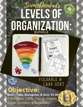 Preview of Levels of Organization in Plants and Animals - Bundle