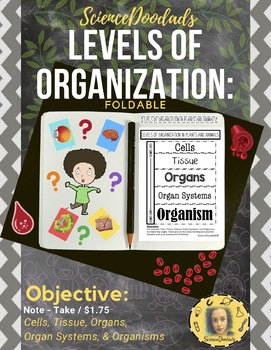 Preview of Levels of Organization in Plants and Animals - Foldable