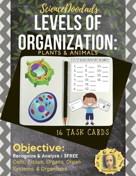 Preview of Levels of Organization in Plants and Animals - Task Cards