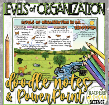 Preview of Ecosystem - Levels of Organization Doodle Notes Notes & Quiz + PowerPoint