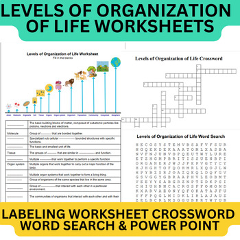 Levels of Organization of Life Worksheets Crossword Word Search and