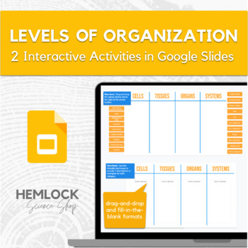 Preview of Levels of Organizations in Humans - drag-and-drop/labeling charts in Slides