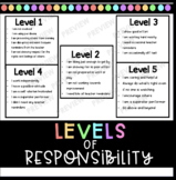 Levels of Responsibility