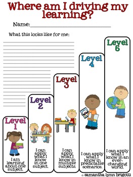 Levels of Understanding & Application Posters {Formative Assessment}