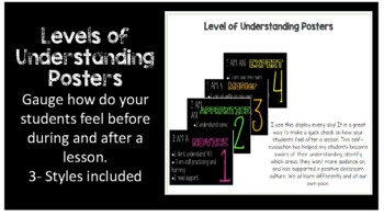 Preview of Levels of Understanding Poster