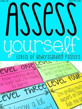 Preview of Levels of Understanding Posters