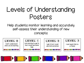 Preview of Levels of Understanding Posters