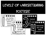 Levels of Understanding Posters