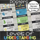 Levels of Understanding Posters