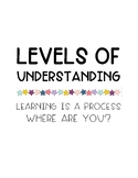 Levels of Understanding Posters