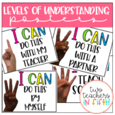 Levels of Understanding Posters [editable]