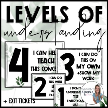Preview of Levels of Understanding posters - Modern Math Classroom decor