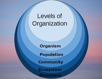 Preview of Levels of organization (ecology) digital virtual flip foldable