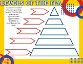 Levels of the FFA