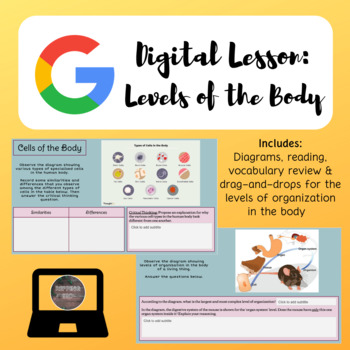 Preview of Levels of the Human Body Digital Lesson | Google Slides
