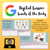 Levels of the Human Body Digital Lesson | Google Slides