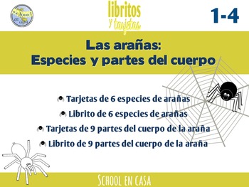 Preview of Spiders in Spanish | Especies y Partes de la araña {Librito y tarjetas}