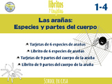 Spiders in Spanish | Especies y Partes de la araña {Librit