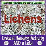 Lichens Reading Passage and Lab Activity