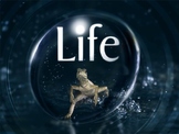 Life 10 Episode Bundle - David Attenborough - BBC Nature D