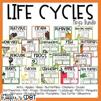 Preview of Life Cycle Bundle