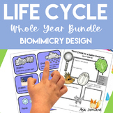 Life Cycle Whole Year Bundle Activities | Biomimicry Desig