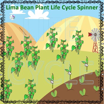 Lima Bean Life Cycle Chart