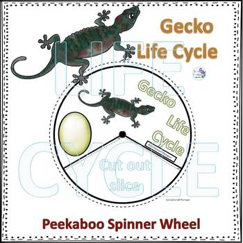 life cycle of a lizard for kids