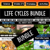 Life Cycle of a Frog Butterfly Ant Bee Ladybug Plant Chick