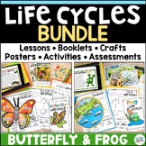 Life Cycle of a Butterfly & Frog Bundle – Crafts Lessons B