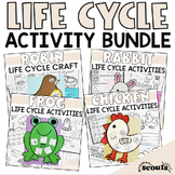 Life Cycle Activity Bundle | Frog Chicken Rabbit Bird Life Cycle