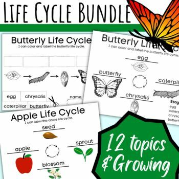 Preview of Life Cycle Animal Writing Bundle Turkey Pumpkin Butterfly Frog Spider Apple Owl