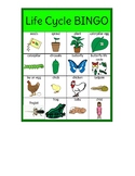 Life Cycle BINGO