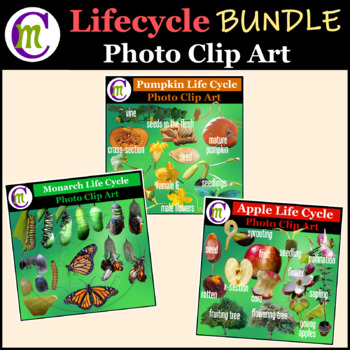 Preview of Life Cycle BUNDLE | Photo Clipart