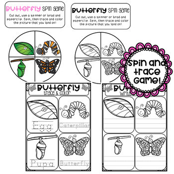 Life Cycle BUTTERFLY by Sprinkles and School | Teachers Pay Teachers