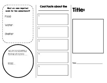 Preview of Life Cycle Brochure Template Organizer