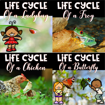 Preview of Life Cycle Bundle for Prek- 1st grade Butterfly, Frog, Ladybug, and Chicken