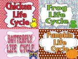 Life Cycle of Chicken, Frog, Butterfly, and Pumpkin Bundle