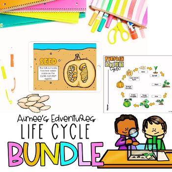 Preview of Life Cycle Bundle