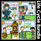 Life Cycle Bundle -- Butterfly, Ladybug, Chicken, and Frog