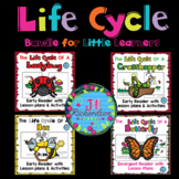 Life Cycle Insect Bundle Books, Crafts, EASEL ESL Spring