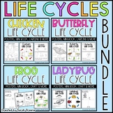 Life Cycle Bundle with Frog, Chicken, Ladybug & Butterfly
