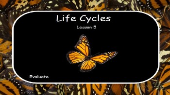 Preview of Life Cycle: Butterfly Descriptive Stages- Lesson 5